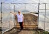 Agricultoras del secano de O’Higgins fortalecen su desarrollo productivo con el apoyo de la Comisión Nacional de Riego