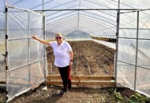 Agricultoras del secano de O’Higgins fortalecen su desarrollo productivo con el apoyo de la Comisión Nacional de Riego