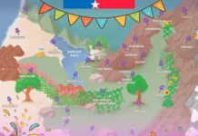 PAR Explora O’Higgins alcanza cobertura en las 33 comunas de la región