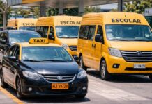 Empieza a pagarse subsidio a transportistas: 48 mil personas recibieron beneficio en primera fecha