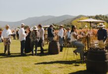 Vendimia VIK duplica convocatoria en Chile tras ser reconocida como viña N°1 del mundo y prepara edición Brasil 2026