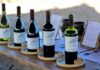 De Gran Reserva a Handcrafted: Viña chilena encuentra su propio lenguaje