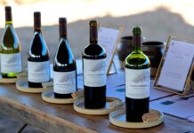 De Gran Reserva a Handcrafted: Viña chilena encuentra su propio lenguaje
