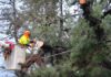 CGE activa plan de acción preventivo ante sistema frontal de lluvia y viento que afecta a la región de O’Higgins