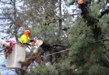 CGE activa plan de acción preventivo ante sistema frontal de lluvia y viento que afecta a la región de O’Higgins