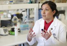 Ciencia como inversión: Científicos chilenos buscan fondos para avanzar en vacuna contra hantavirus