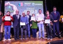 Ministro de Agricultura encabeza entrega de incentivos de capital de trabajo a 140 usuarios Prodesal de Graneros
