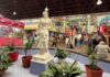 Rancagua abre sus puertas al patrimonio con recorrido por 11 hitos históricos
