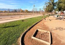 Municipalidad de Rancagua despliega amplio operativo en La Cruz y da inicio a “Revive Tu Barrio”