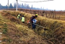 Municipio de Rancagua persiste en limpieza preventiva ante llegada de lluvias