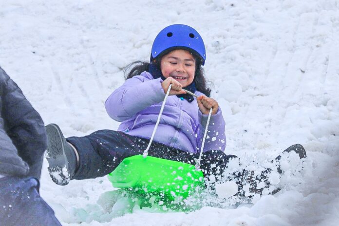 NIEVE2