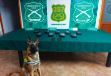 Carabineros OS-7 decomisa más de 9 kilos de pasta base de cocaína en fiscalización a bus interurbano en Chimbarongo