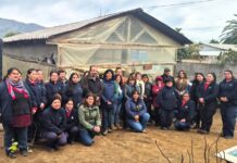 Programa de Emergencia de Empleo de CONAF entregó 2.800 árboles nativos y ornamentales a siete comunas de O’Higgins