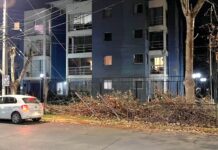 Municipio de Rancagua paraliza trabajos e interpone recurso de protección tras mutilación del arbolado urbano por parte de contratista de CGE