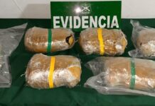 Carabineros de Chimbarongo incauta más de seis kilos de marihuana tras seguimiento policial en Ruta 5 Sur