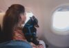SAG exigirá identificación individual de perros y gatos para su ingreso a Chile