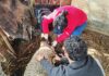 SEREMI de Agricultura realiza operativo para prevenir ataques de animales de libre deambular al ganado y fauna silvestre