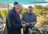 Senador Castro logra compromiso de Agricultura para ir en ayuda de pequeños productores afectados por heladas en Peumo
