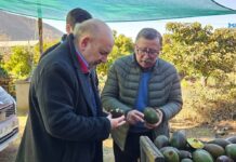 Senador Castro logra compromiso de Agricultura para ir en ayuda de pequeños productores afectados por heladas en Peumo