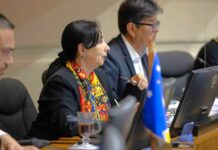 Diputados oficialistas hacen fracasar comisión mixta para zanjar ley de incendios