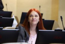 Diputada Cucumides (PS) valora avance de proyecto “Sueldos Protegidos”