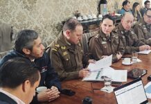 Carabineros en Comité Policial: 528 detenidos y 8 vehículos recuperados