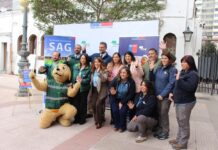 SAG y CONAF buscan reclutar a cerca de 600 personas para la temporada de exportación de cerezas y prevención de incendios forestales