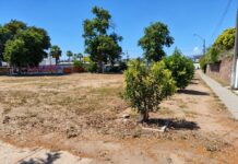 Municipio impulsa recuperación de espacios públicos deteriorados en Villa Baquedano y Pob. Manzanal en Rancagua