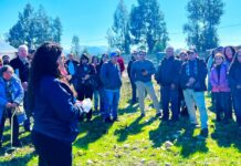 INIA Rayentué y SAG acercan normativa sobre bioinsumos a agricultores de O’Higgins