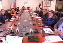 CORE: Comisión de Salud convocó trabajo intersectorial para abordar el consumo de drogas en mujeres y la afectación en los hijos
