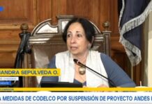 Senadora Sepúlveda (IND) criticó ausencia de directorio Codelco por caso El Teniente