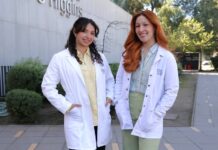 De las aulas a la investigación: estudiantes UOH publican estudio sobre nutrición y Alzheimer