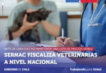 SERNAC realiza fiscalización a veterinarias: 7 de cada 10 no mantienen una lista de precios visible