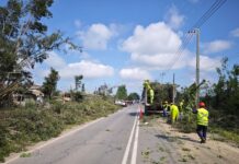 Vialidad avanza en habilitación de la Ruta H-455 afectada por tornado en Requínoa