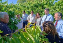 Subsecretario de Agricultura lidera comité regional para evaluar daños por eventos climáticos en O’Higgins