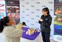 Agrosuper y laboratorio MSD realizan operativo veterinario preventivo en Villa Vista Hermosa de Codegua