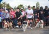Perritón Rancagua 2026 reunió a centenares de familias en una jornada de recreación y tenencia responsable