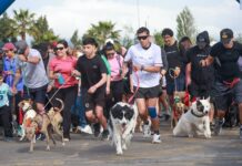 Perritón Rancagua 2026 reunió a centenares de familias en una jornada de recreación y tenencia responsable