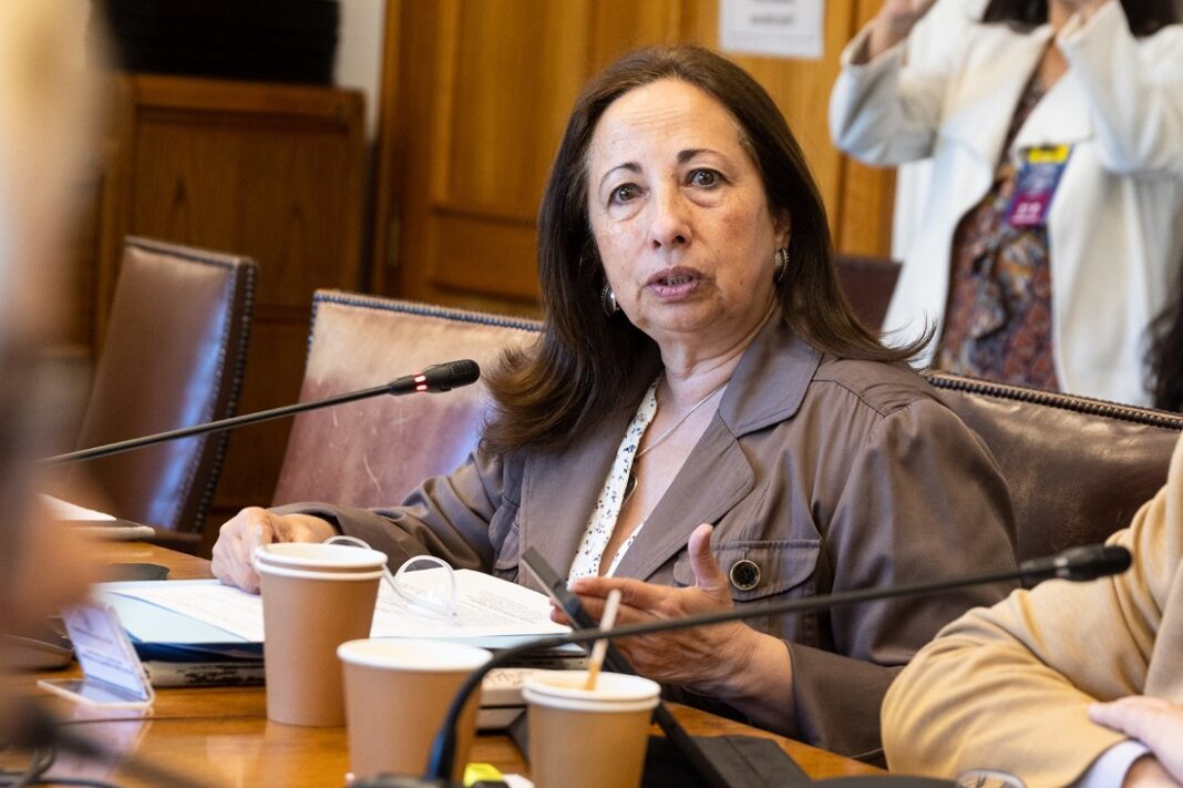 SENADORA12
